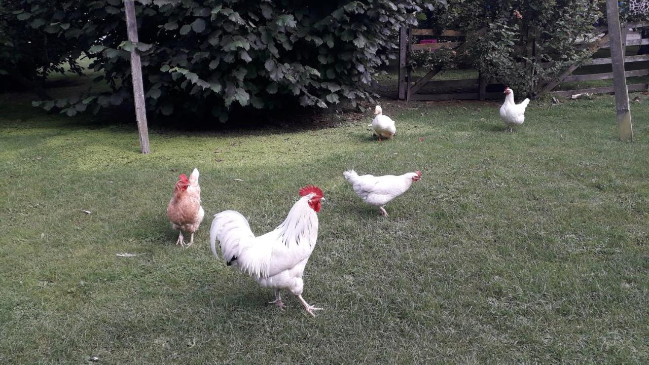 Western House B&B Kurow Luaran gambar